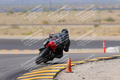 media/Oct-08-2022-SoCal Trackdays (Sat) [[1fc3beec89]]/Turn 11 Backside (1145am)/